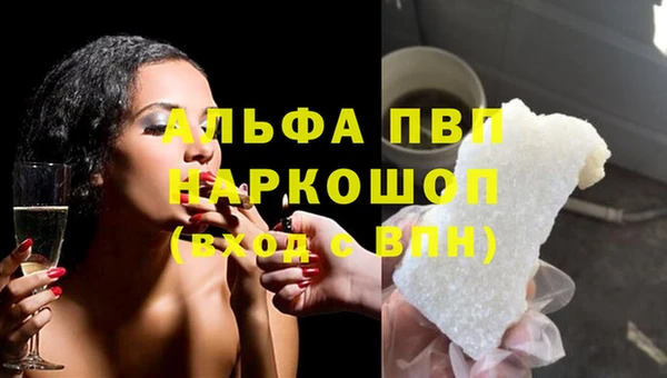 крисы Елабуга