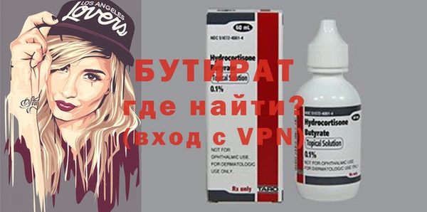 индика Елизово
