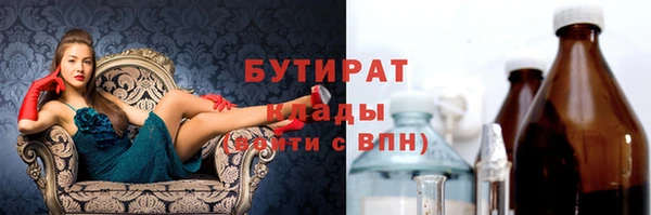 индика Елизово