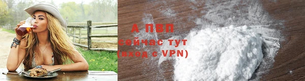крисы Елабуга