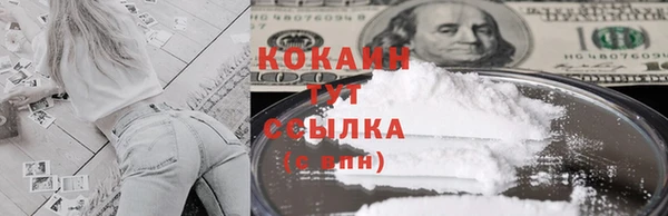крисы Елабуга