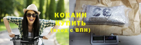 индика Елизово