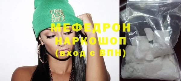 индика Елизово