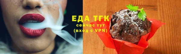 индика Елизово