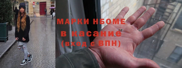 индика Елизово