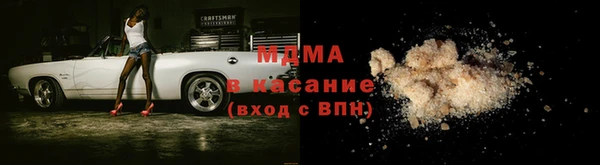 индика Елизово