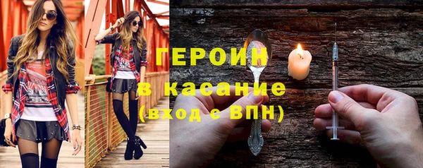 индика Елизово