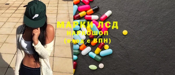 индика Елизово