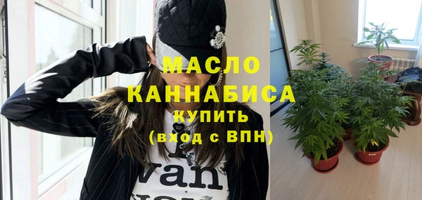 индика Елизово