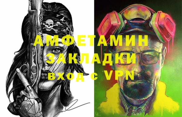 индика Елизово
