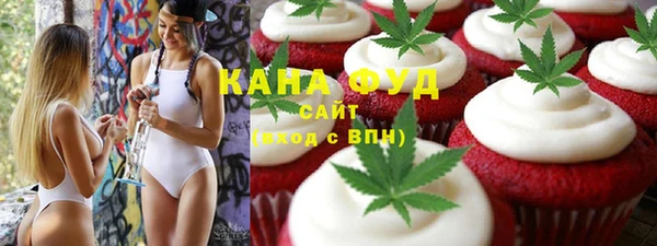 индика Елизово