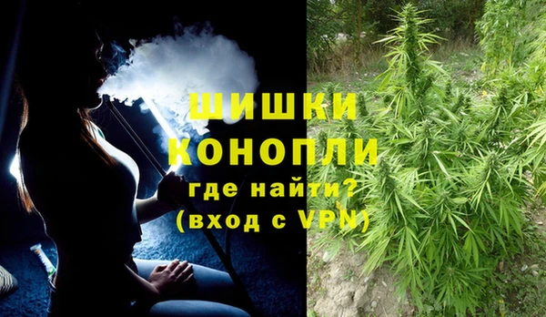 крисы Елабуга