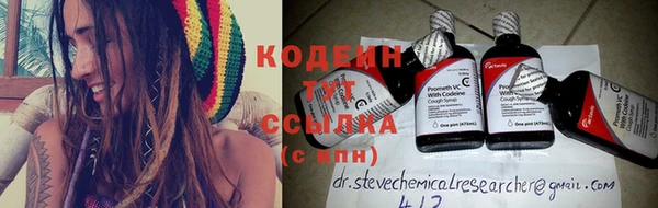 крисы Елабуга