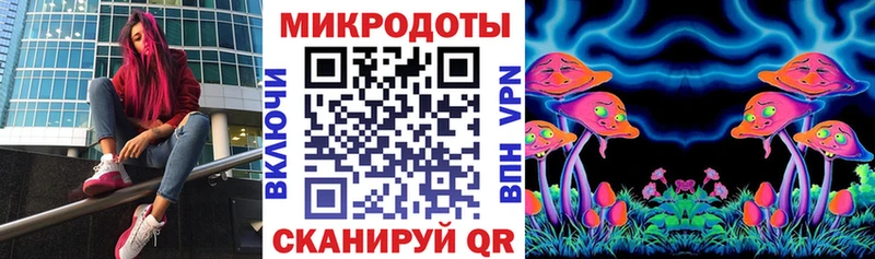 Галлюциногенные грибы Psilocybe  Мурманск 